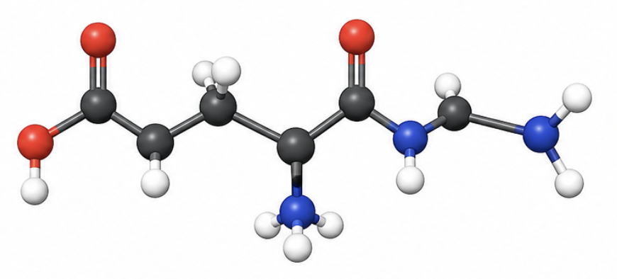 3D Molecular Structure of L-Theanine - amino acid naturally found in tea leaves.